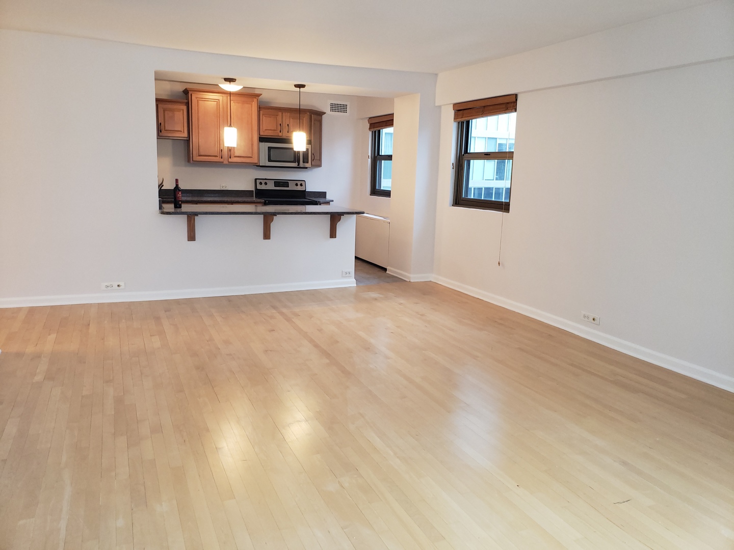 535 N MICHIGAN Avenue 2008