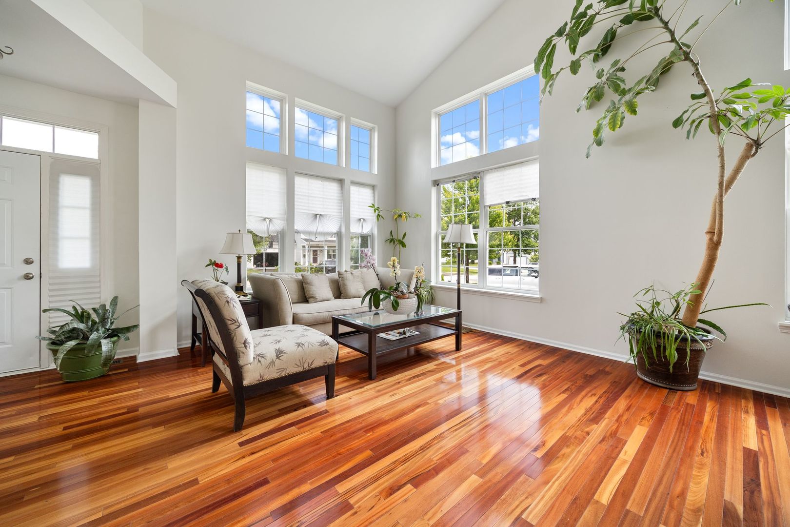 107 W Hampton Court