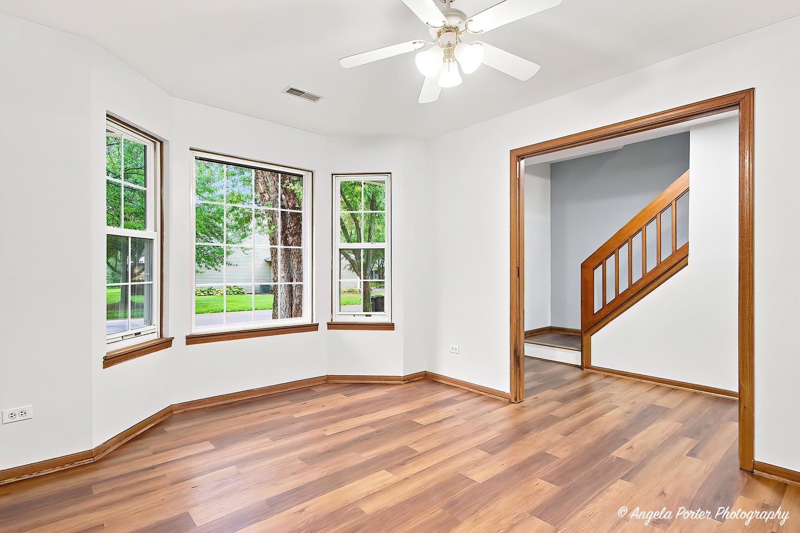 3020 Ilene Drive 3020
