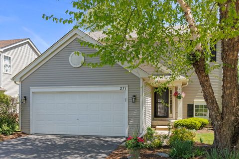 Photo of 271 Copper Mountain Drive, Gilberts, IL 60136 (MLS # 12653191)