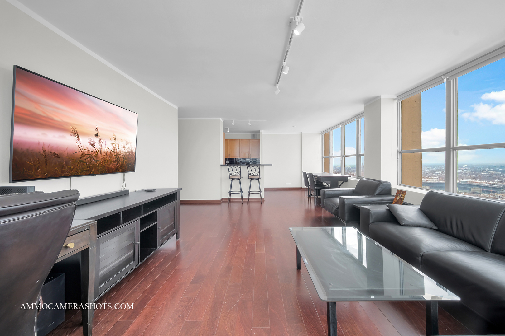 655 W Irving Park Road 3916