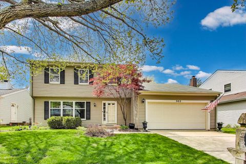 962 Thompson Boulevard Buffalo Grove IL 60089