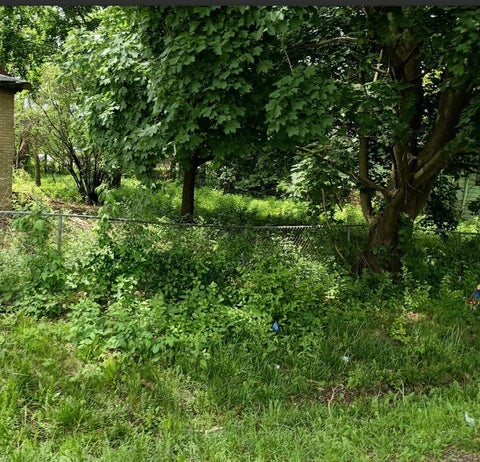 MLS: 12709868