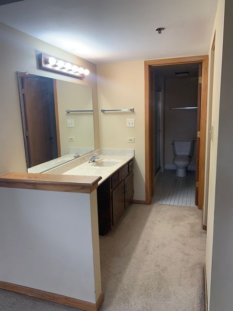 Tiny photo for 10420 Circle Drive #22B, Oak Lawn, IL 60453 (MLS # 12460910)