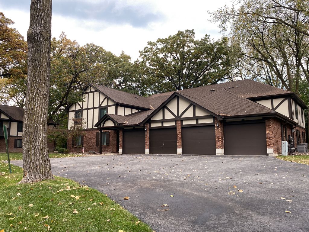 Photo for 11210 Sycamore Lane #61C, Palos Hills, IL 60465 (MLS # 12499264)