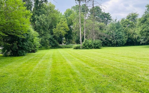 Tiny photo for 9811 W 56th Street, Countryside, IL 60525 (MLS # 12668303)