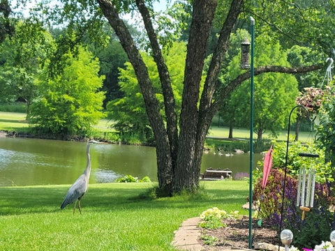 Tiny photo for 36 Crofton Court, Oswego, IL 60543 (MLS # 12771265)