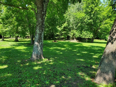 Tiny photo for 202 Arbor Drive, Carterville, IL 62918 (MLS # 12666006)