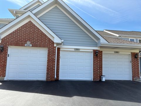 Tiny photo for 258 Odlum Court, Schaumburg, IL 60194 (MLS # 12610662)