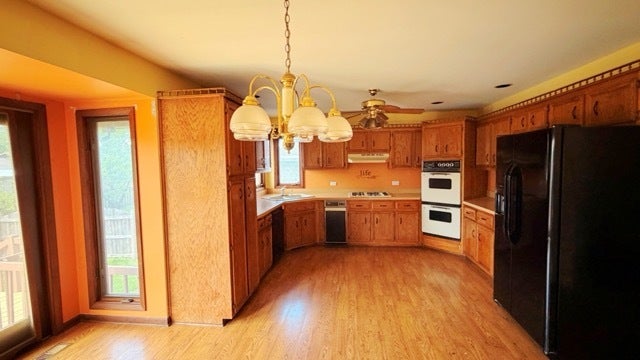 18348 Carriage Lane