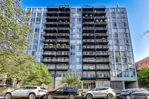 450 W Briar Place 11H Chicago IL 60657