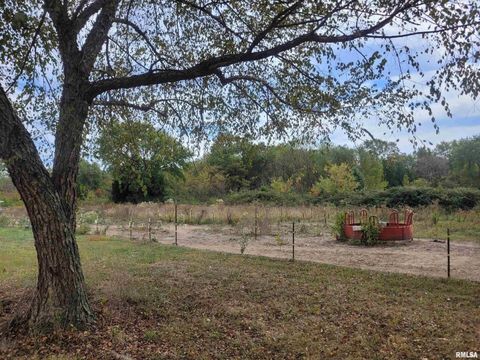 Tiny photo for 10270 N REYNOLDS Lane, Mt Vernon, IL 62864 (MLS # EB460165)