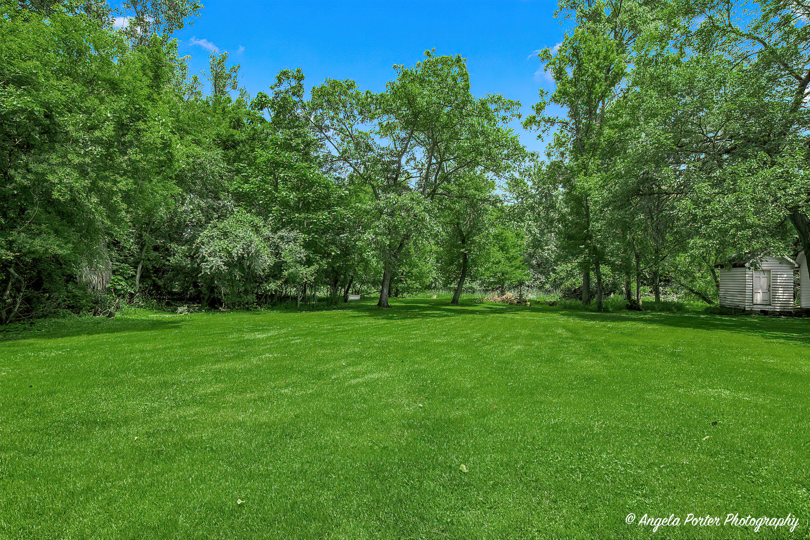 4404 Giant Oak Drive