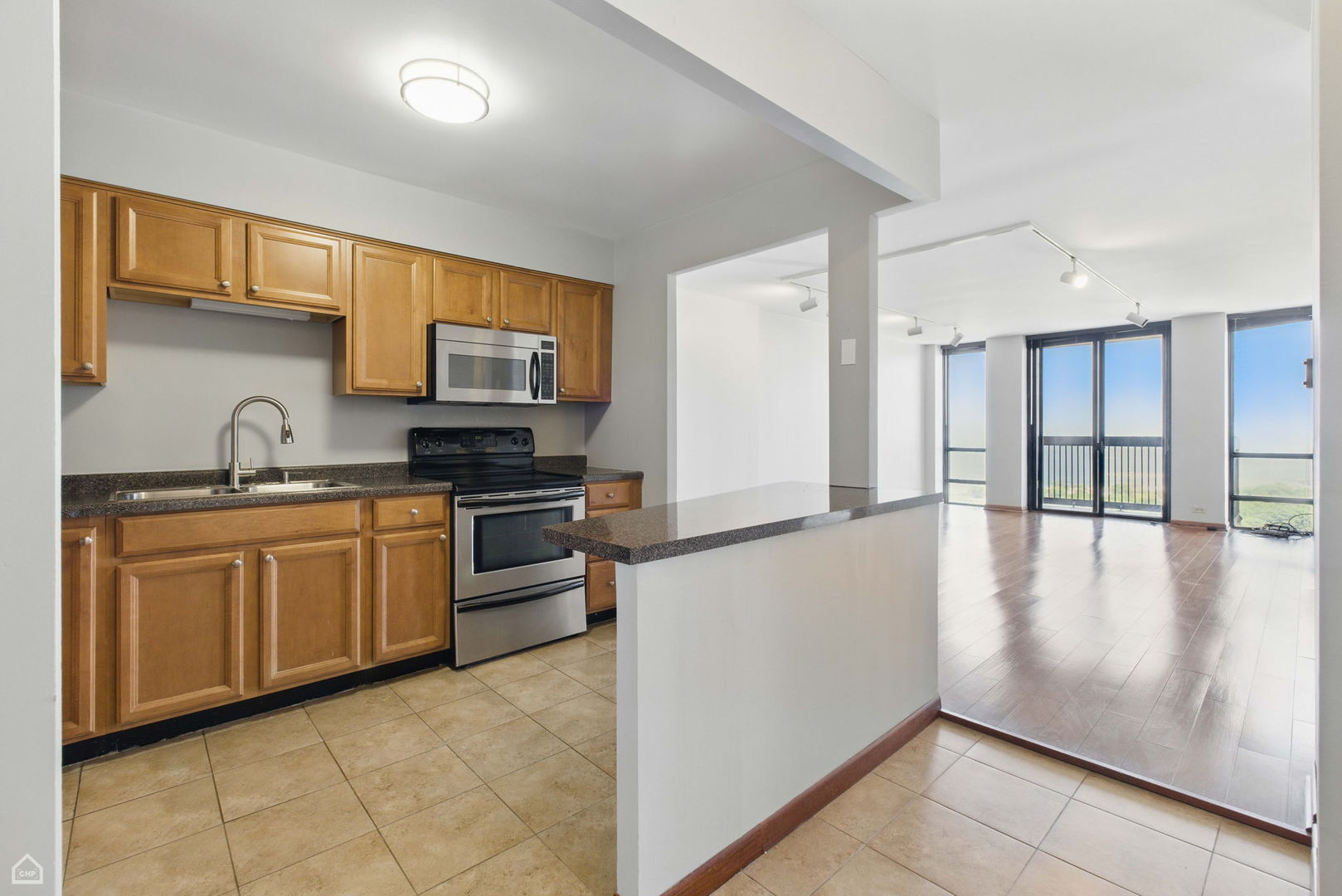 1660 N LaSalle Street 2307