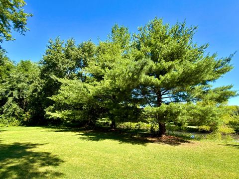 Tiny photo for 9857 Highway 45, Flora, IL 62839 (MLS # 12685197)