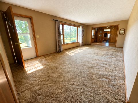 Tiny photo for 9857 Highway 45, Flora, IL 62839 (MLS # 12685197)