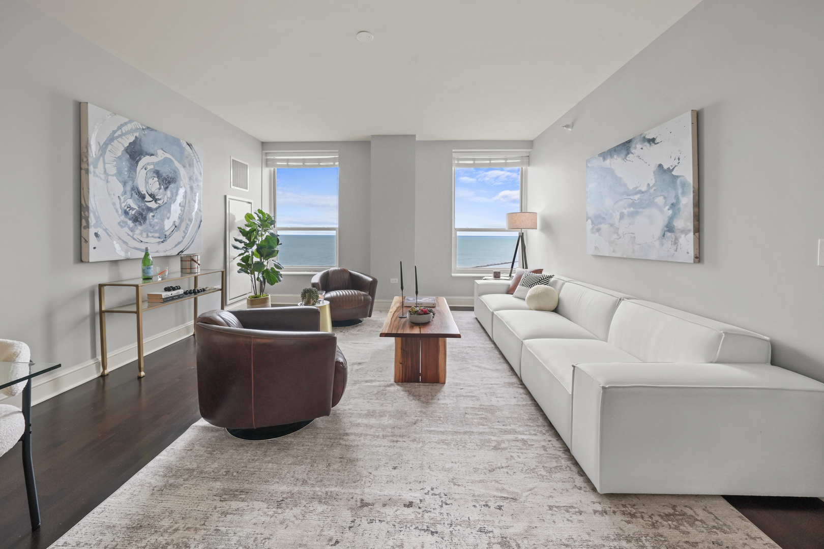 850 N Lake Shore Drive 1005