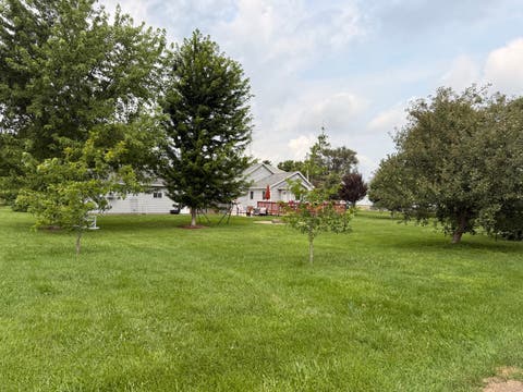 Tiny photo for 310 S 2nd Street, Standard, IL 61363 (MLS # 12701856)