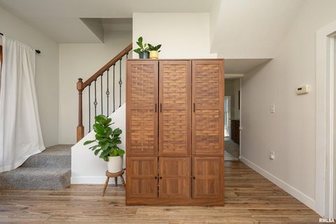 Tiny photo for 401 3RD Street, Matherville, IL 61263 (MLS # QC4269136)