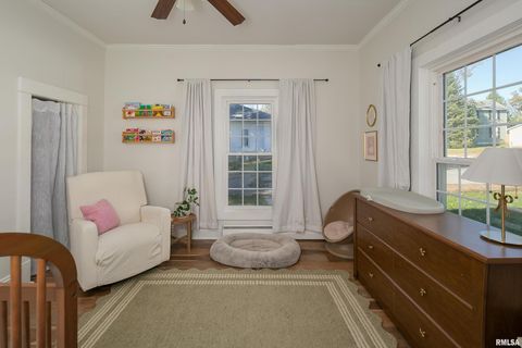 Tiny photo for 401 3RD Street, Matherville, IL 61263 (MLS # QC4269136)