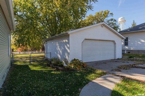 Tiny photo for 401 3RD Street, Matherville, IL 61263 (MLS # QC4269136)