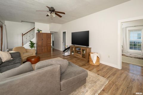 Tiny photo for 401 3RD Street, Matherville, IL 61263 (MLS # QC4269136)