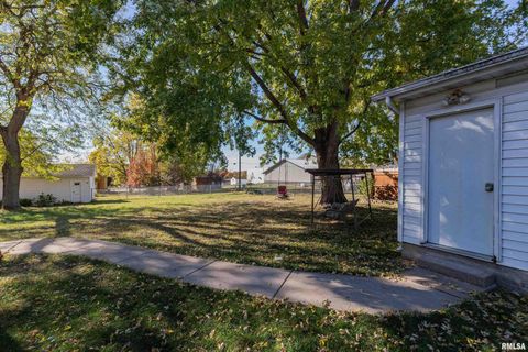 Tiny photo for 401 3RD Street, Matherville, IL 61263 (MLS # QC4269136)