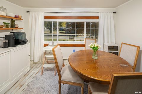 Tiny photo for 401 3RD Street, Matherville, IL 61263 (MLS # QC4269136)