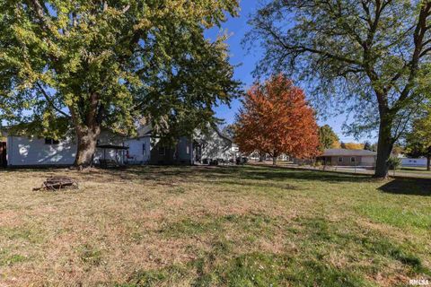 Tiny photo for 401 3RD Street, Matherville, IL 61263 (MLS # QC4269136)