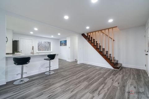 Tiny photo for 38236 N Lee Avenue, Spring Grove, IL 60081 (MLS # 12402644)