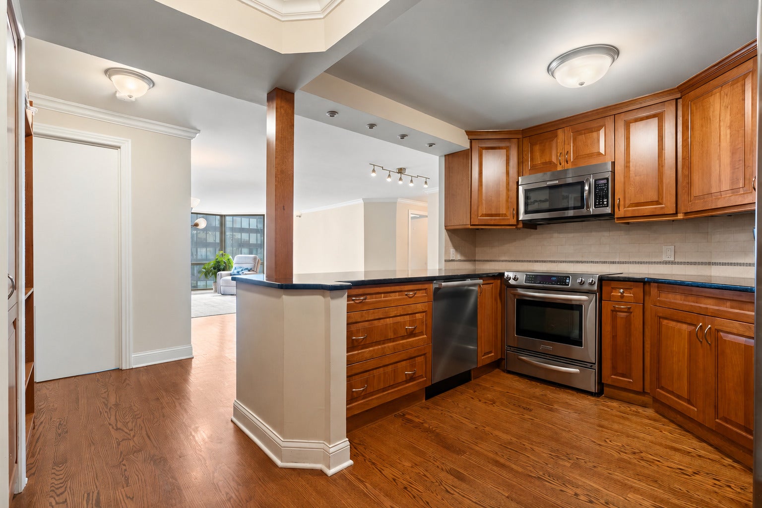 195 N Harbor Drive 5104