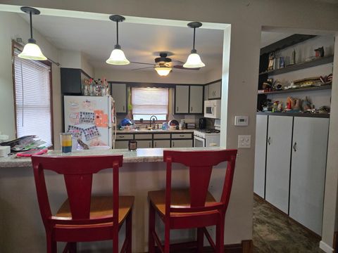 Tiny photo for 501 E Colden Street, Polo, IL 61064 (MLS # 12561075)