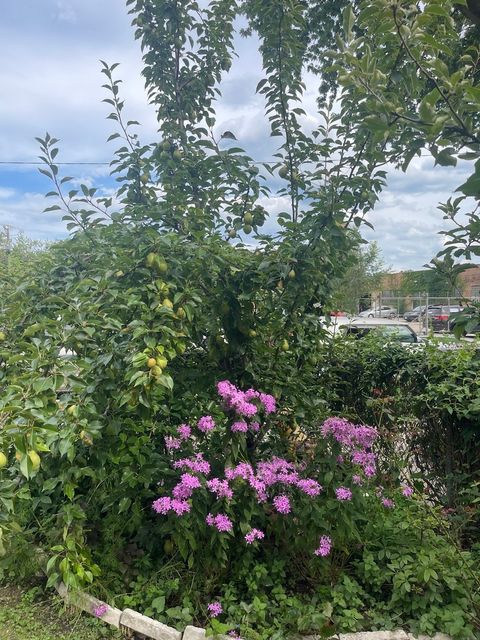 Tiny photo for 6028 N Winchester Avenue, Chicago, IL 60660 (MLS # 12461284)