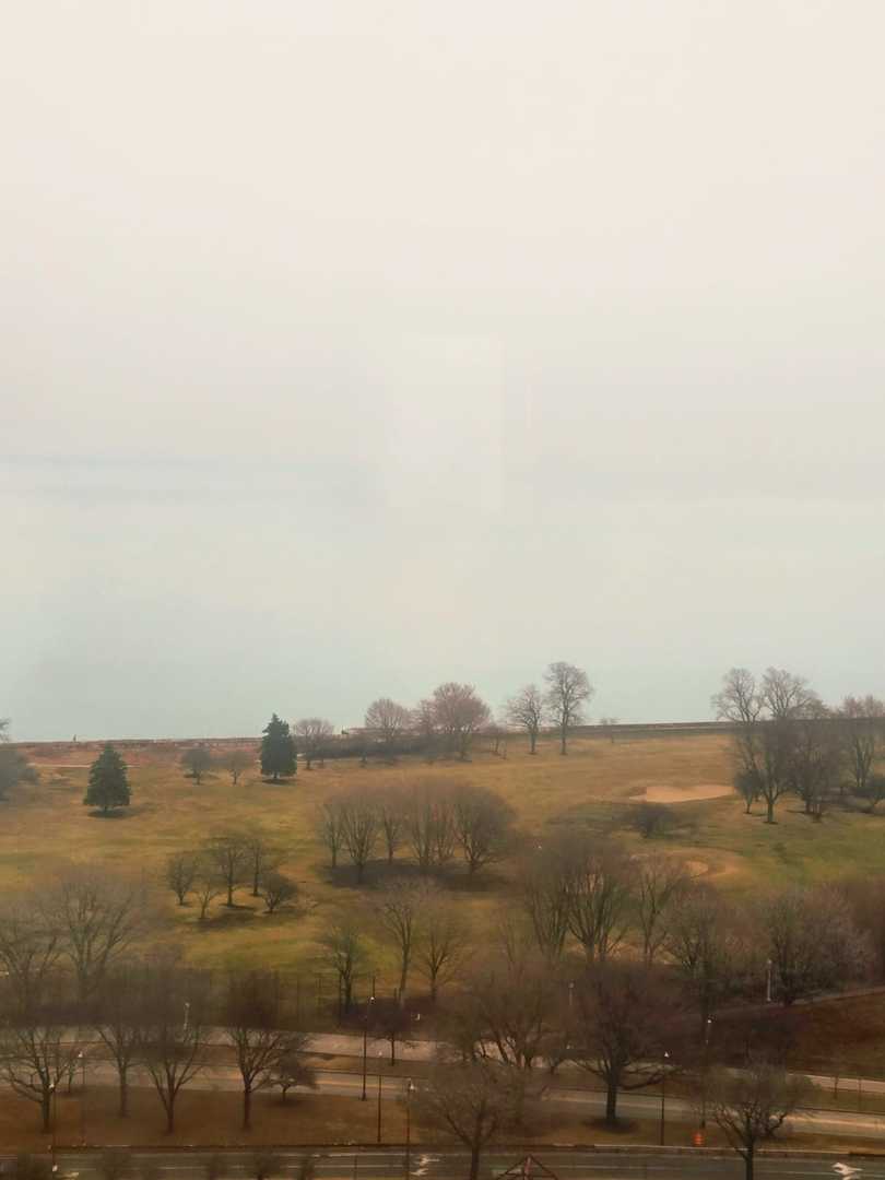 3950 N Lake Shore Drive 2312