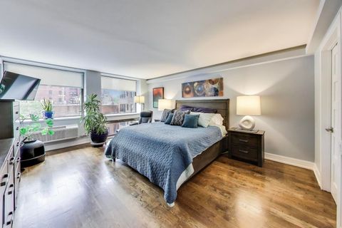 Tiny photo for 1110 N Lake Shore Drive #3N, Chicago, IL 60611 (MLS # 12520869)