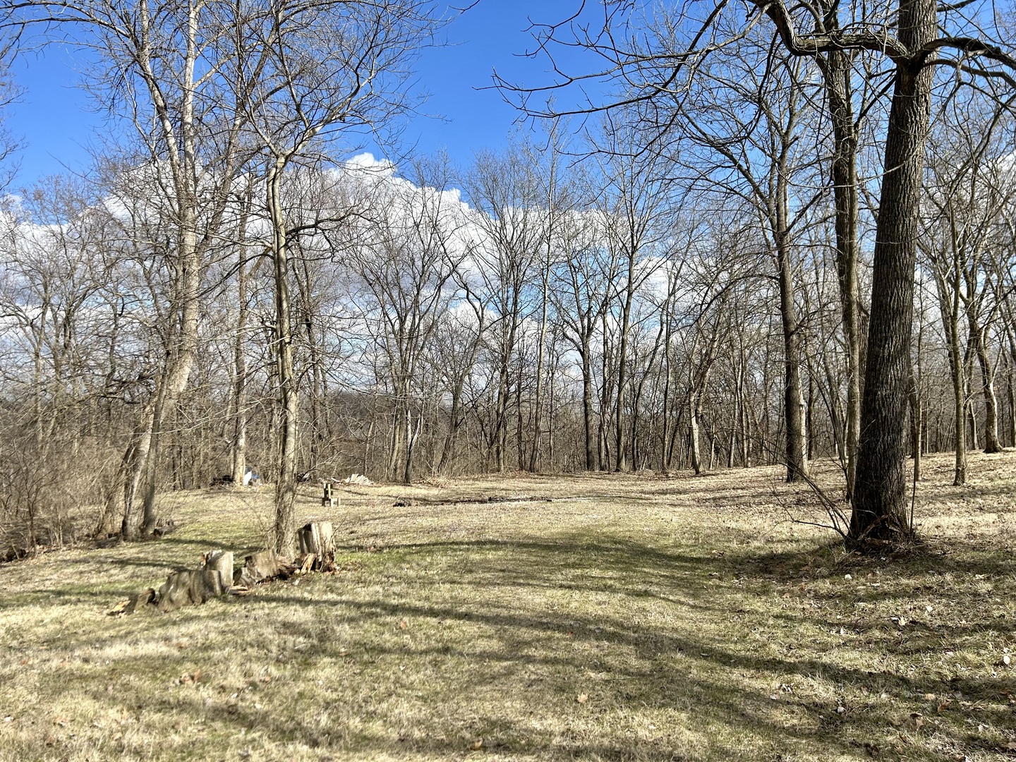 Lot 5 Thirty Foot Trail Road