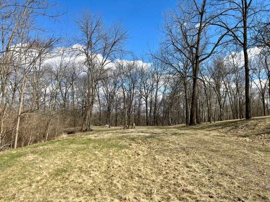 LOT 5 THIRTY FOOT TRAIL ROAD, OGLESBY, IL 61348 - Image d6099459232902b0ce8f67e973e4e5ed/2406502455