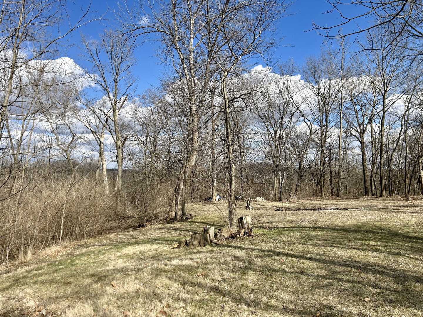 Lot 5 Thirty Foot Trail Road