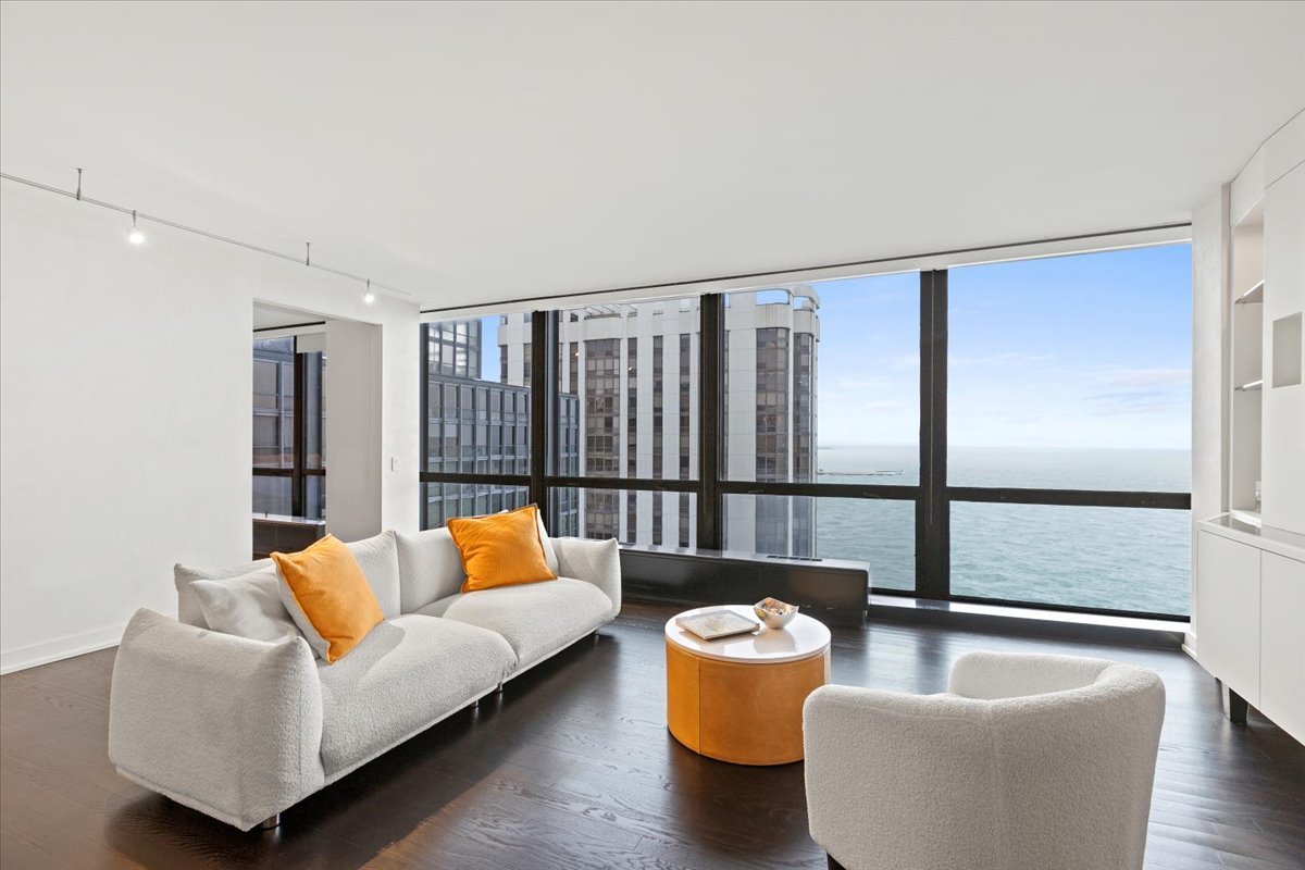 900 N Lake Shore Drive 2809