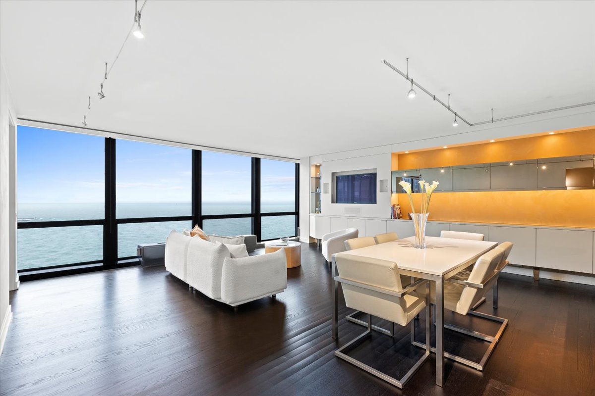 900 N Lake Shore Drive 2809