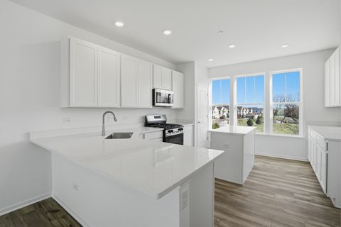 Tiny photo for 311 Settlers Place, West Dundee, IL 60118 (MLS # 12581309)