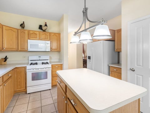 Tiny photo for 13041 Bull Ridge Drive, Huntley, IL 60142 (MLS # 12729715)
