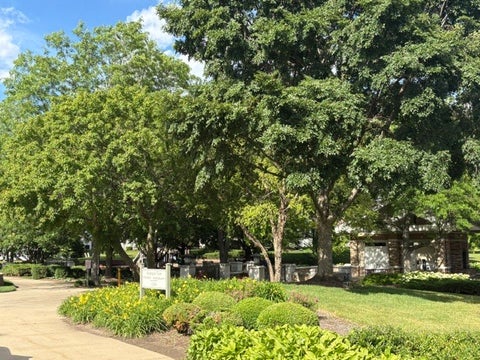 Tiny photo for 13041 Bull Ridge Drive, Huntley, IL 60142 (MLS # 12729715)
