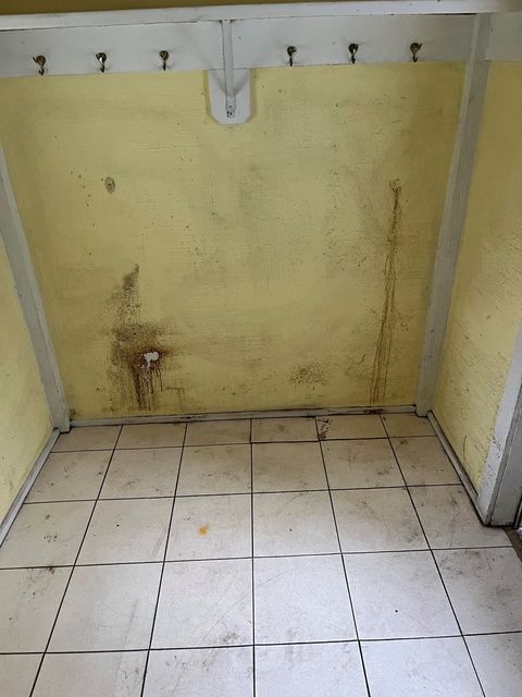 Tiny photo for 417 N Van Buren Street, Batavia, IL 60510 (MLS # 12576907)