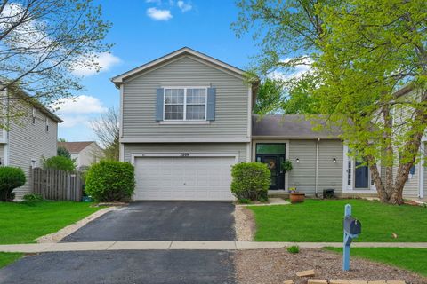 Photo of 2209 Carpenter Avenue, Plainfield, IL 60586 (MLS # 12620723)