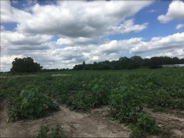 Lot1 and Lot1A Koppie Road