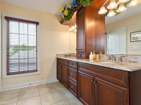 Tiny photo for 11392 Mckenna Drive, Frankfort, IL 60423 (MLS # 12442495)