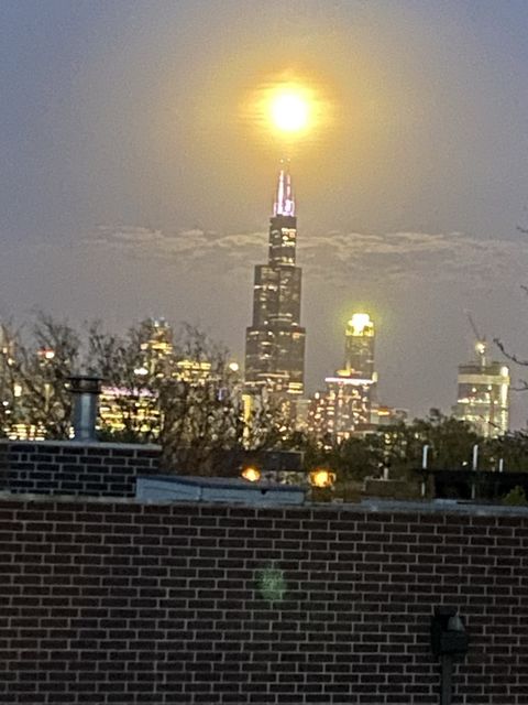 Tiny photo for 2154 W Erie Street, Chicago, IL 60612 (MLS # 12577883)