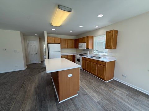 Tiny photo for 924 Bergera Street W, Braidwood, IL 60408 (MLS # 12698127)