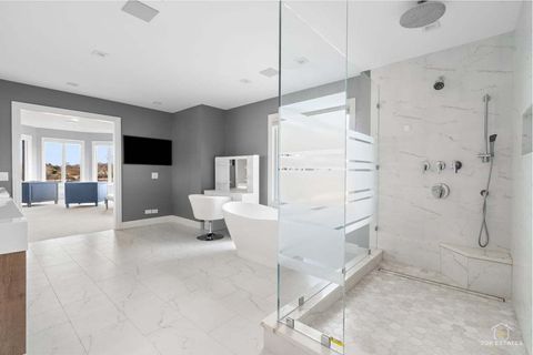 Tiny photo for 25676 N Canyon Creek Court, Barrington, IL 60010 (MLS # 12597704)